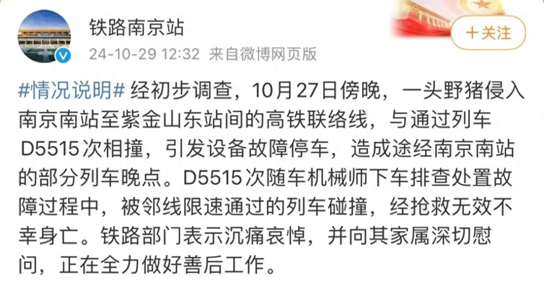 街頭橫沖直闖，抱娃女子被撞傷，警方：已被特警擊斃