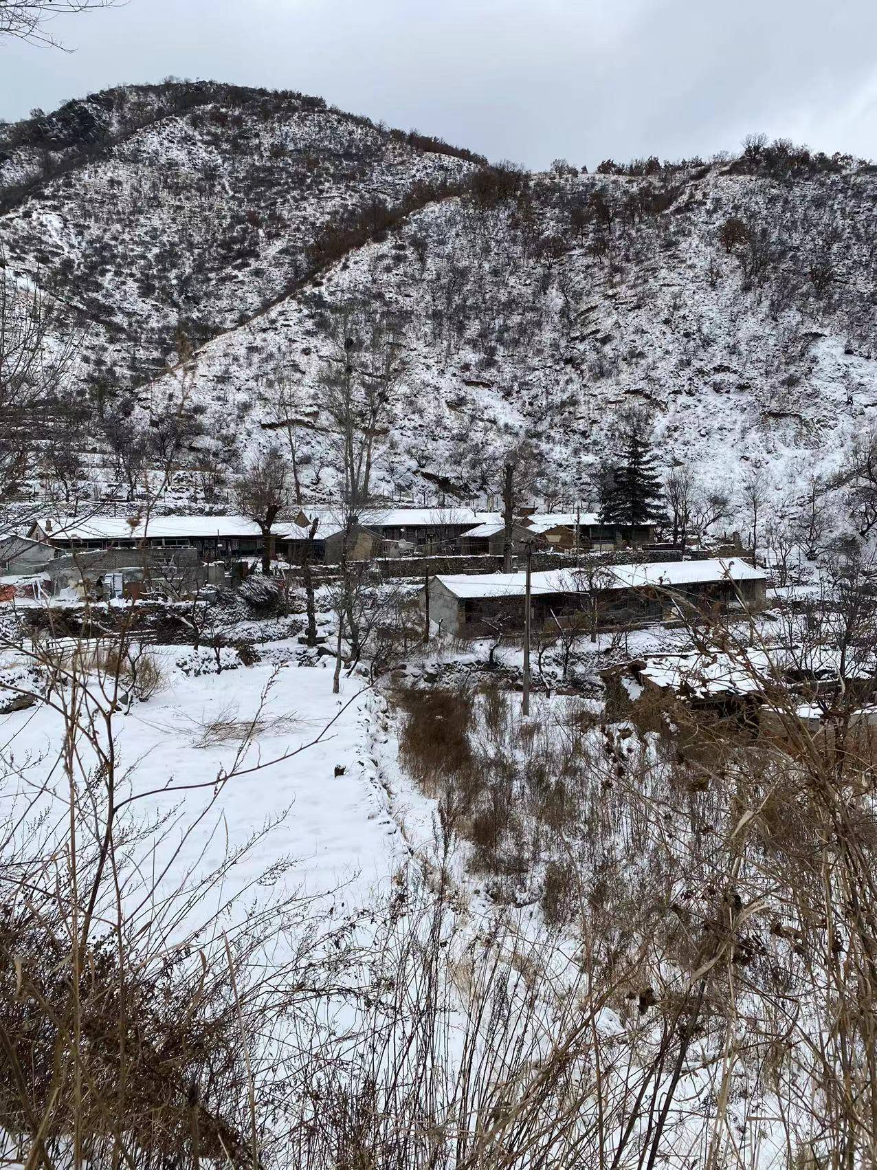 北京海拔最高山村：積雪已沒過腳面，山林銀裝素裹