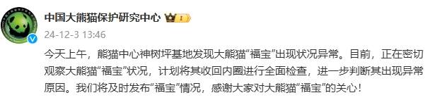 中國大熊貓保護(hù)研究中心回應(yīng)“‘福寶’出現(xiàn)狀況異?！保赫芮杏^察其狀況，計(jì)劃將其收回內(nèi)圈進(jìn)行全面檢查