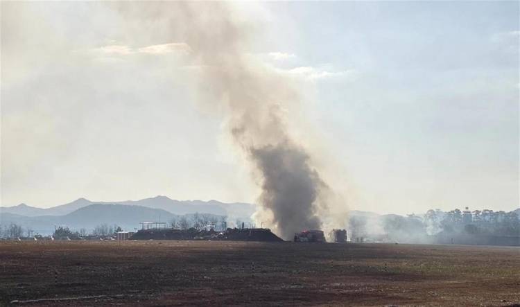 資深飛行員分析韓客機(jī)遇難事故：機(jī)腹接地后未減速，可能有兩個(gè)原因