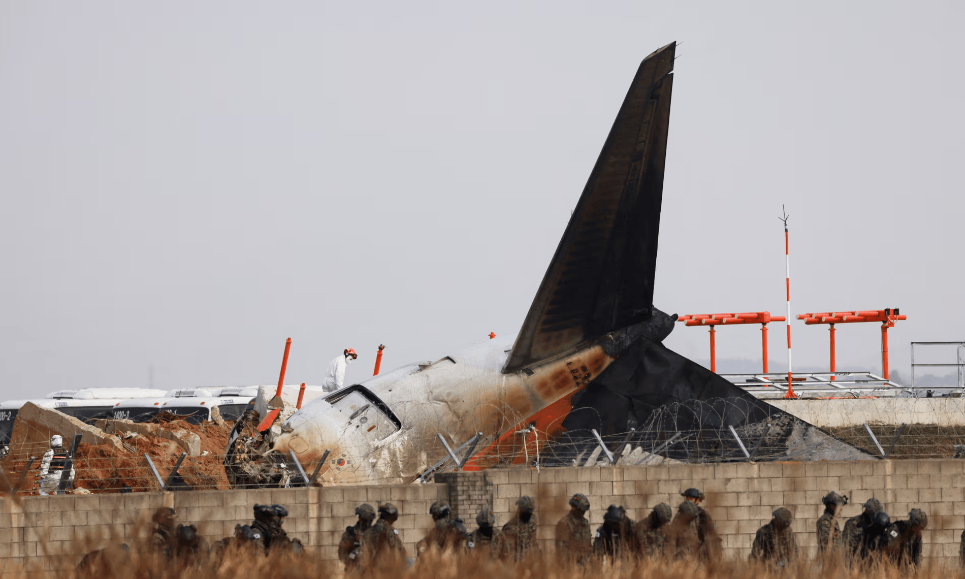 航空專家：撞鳥本身通常難以導(dǎo)致飛機(jī)墜毀