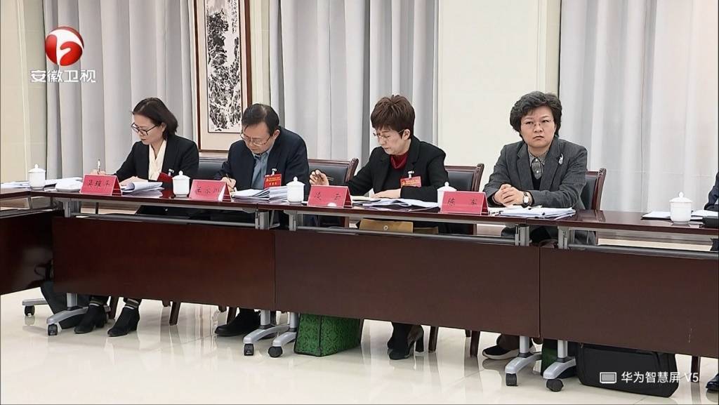 卸任黃山市委書記后，凌云參加了安徽省委十一屆九次全會(huì)