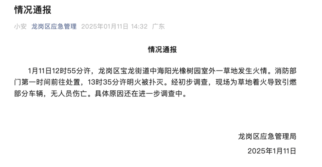 黑煙滾滾！十幾輛汽車(chē)被燒！深圳官方通報(bào)