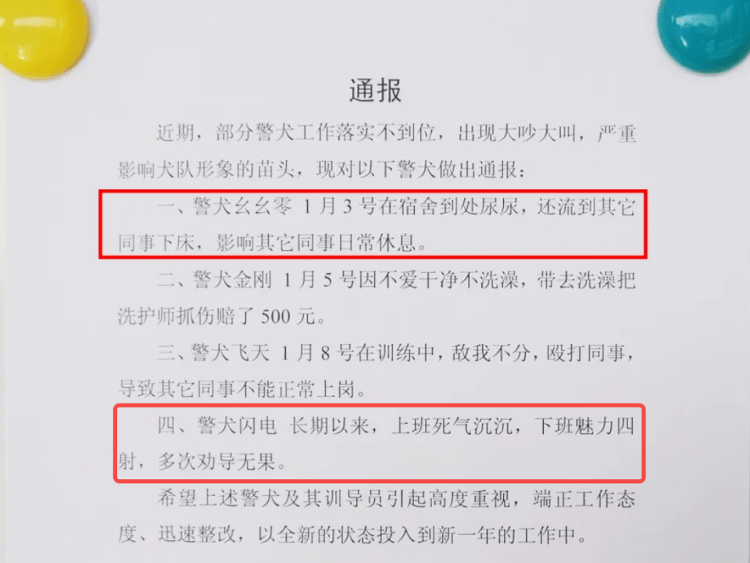 “上班死氣沉沉、下班魅力四射”，警犬被通報