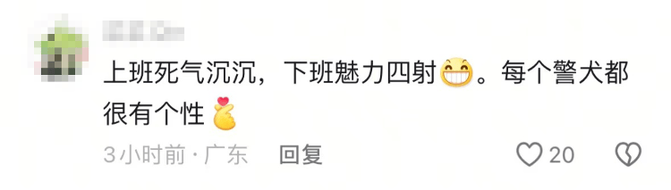 “上班死氣沉沉、下班魅力四射”，警犬被通報