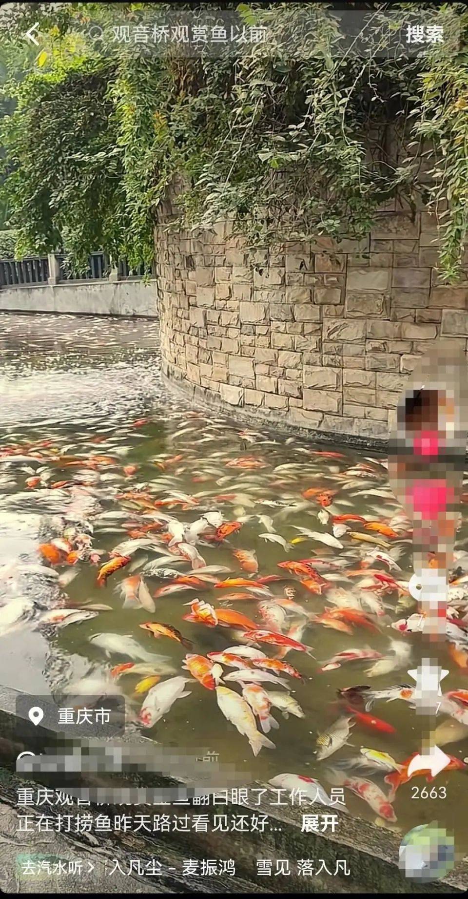 ?一公園觀賞魚大量死亡，死魚裝滿30余編織袋，警方通報(bào)