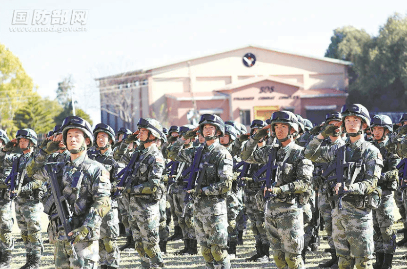 金燦榮：電詐集團(tuán)太猖狂！必要時(shí)派解放軍消滅！