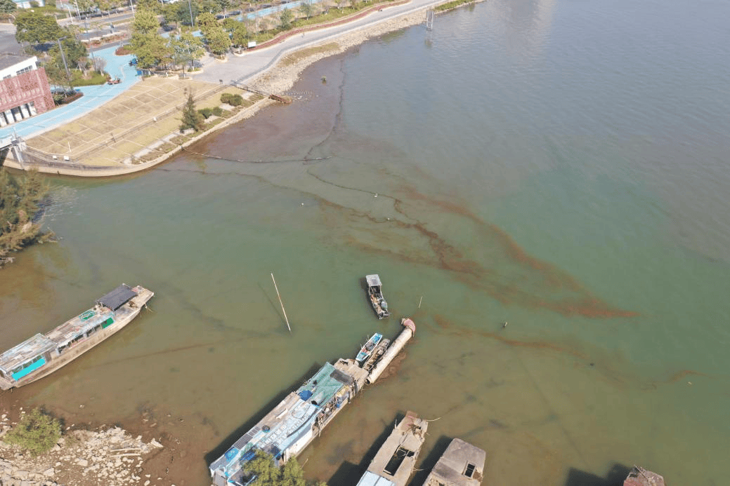 海邊密集出現(xiàn)“爆爆珠”？廣州、深圳等多地發(fā)布提醒