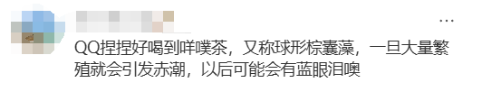 海邊密集出現(xiàn)“爆爆珠”？廣州、深圳等多地發(fā)布提醒