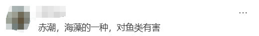 海邊密集出現(xiàn)“爆爆珠”？廣州、深圳等多地發(fā)布提醒