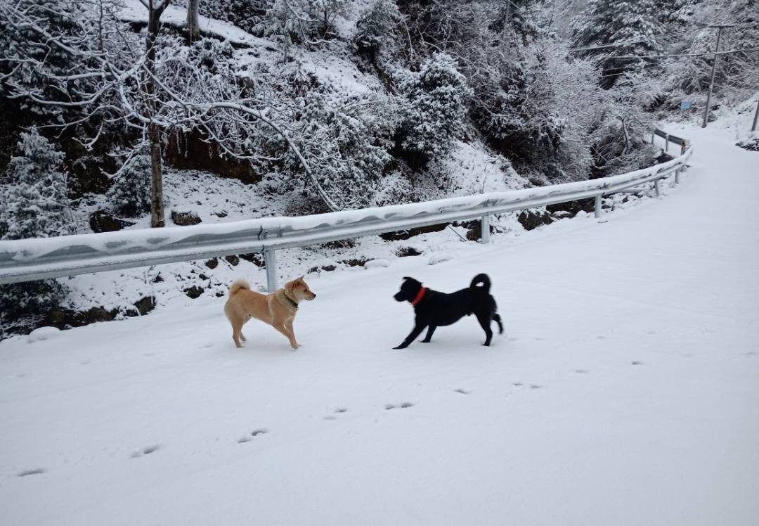 零下7℃！大到暴雪！剛剛確認：杭州又來一波猛的！周末出門千萬注意.....