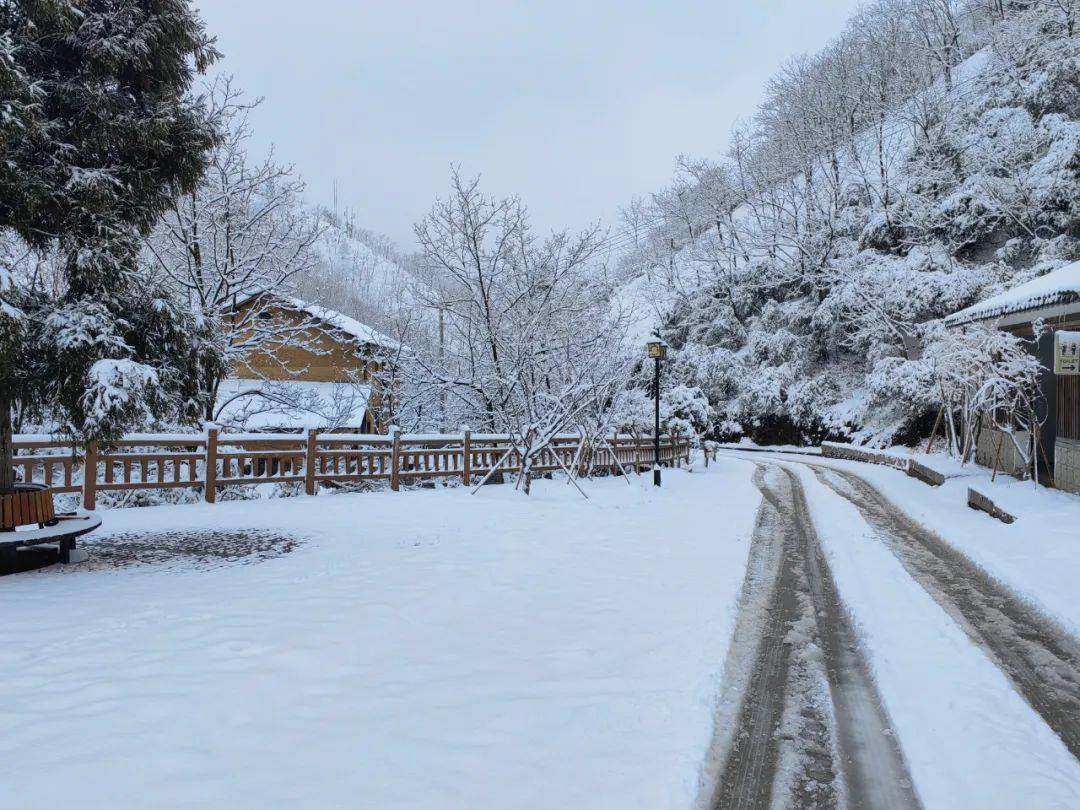 零下7℃！大到暴雪！剛剛確認：杭州又來一波猛的！周末出門千萬注意.....