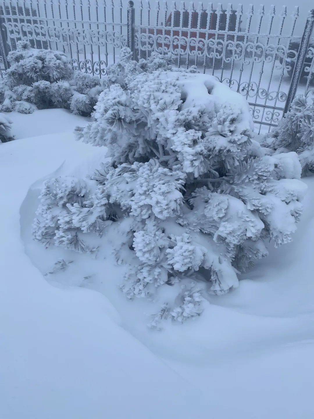 零下7℃！大到暴雪！剛剛確認：杭州又來一波猛的！周末出門千萬注意.....