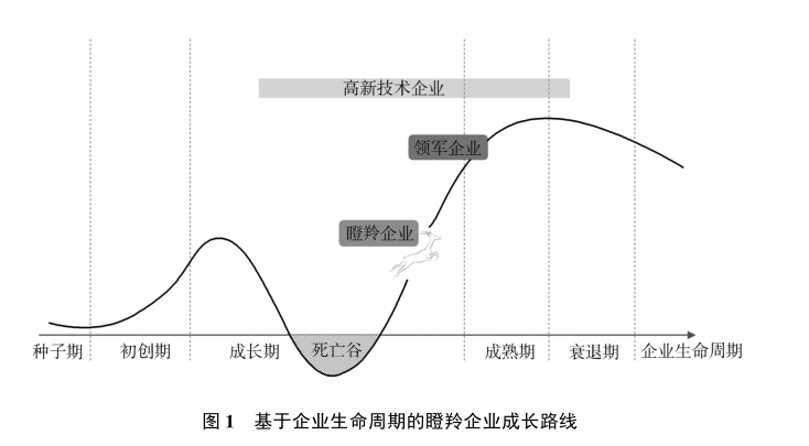 政府工作報告中的新詞“瞪羚企業(yè)”，是什么意思